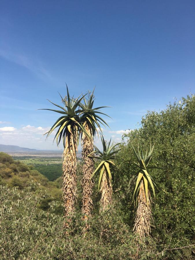 Ava Garden Backpackers Daire Mto wa Mbu Dış mekan fotoğraf