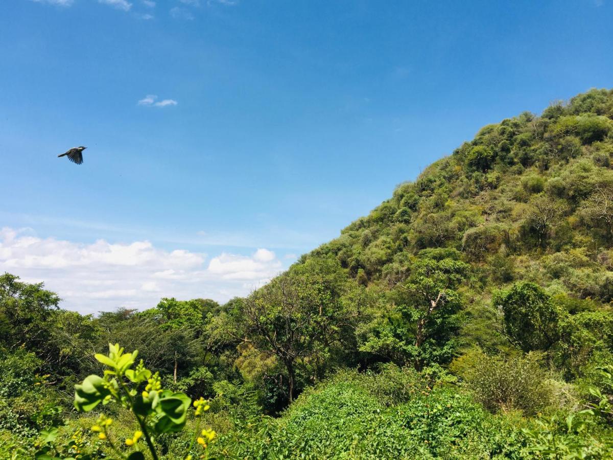 Ava Garden Backpackers Daire Mto wa Mbu Dış mekan fotoğraf
