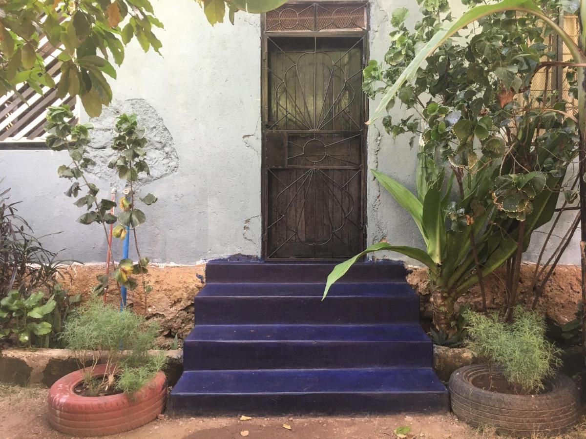Ava Garden Backpackers Daire Mto wa Mbu Dış mekan fotoğraf