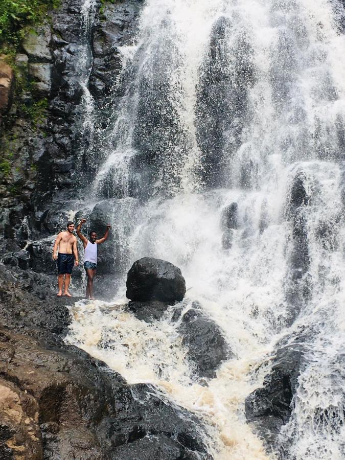 Ava Garden Backpackers Daire Mto wa Mbu Dış mekan fotoğraf