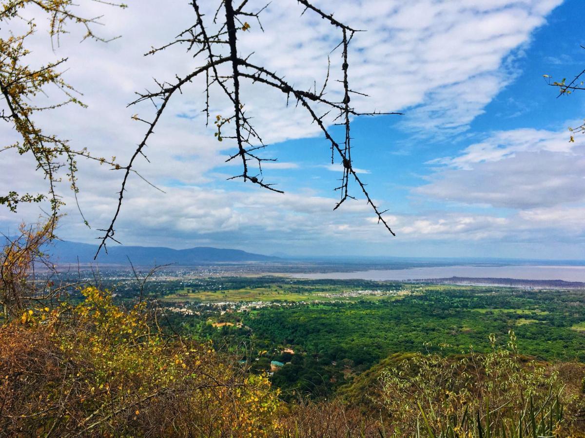 Ava Garden Backpackers Daire Mto wa Mbu Dış mekan fotoğraf