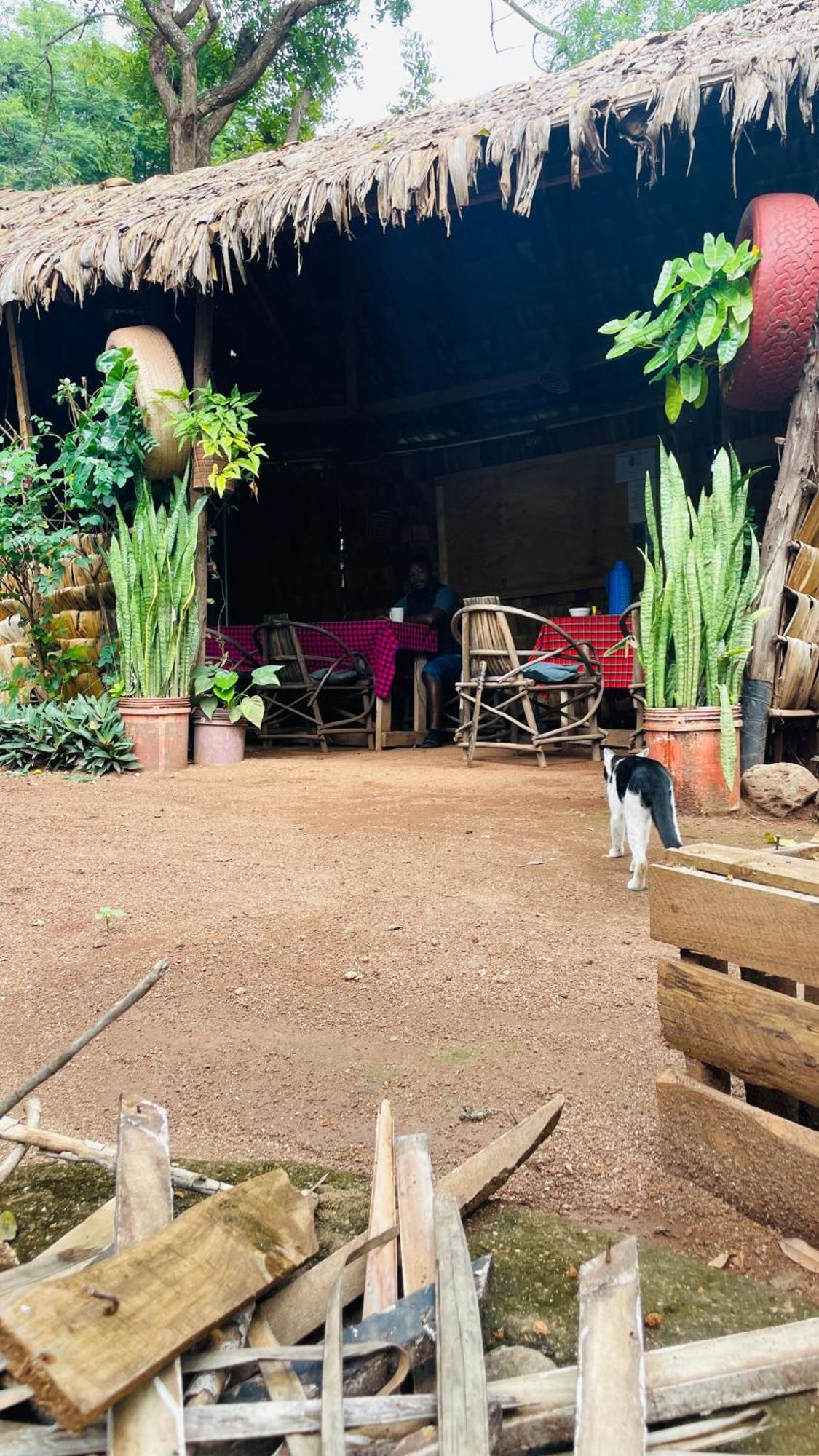 Ava Garden Backpackers Daire Mto wa Mbu Dış mekan fotoğraf